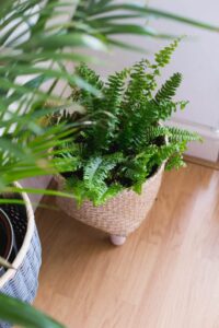 корзина-кашпо для цветов на ножках: простой мастер-класс